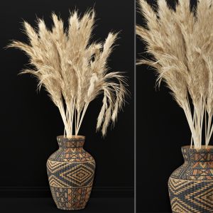 Dry Plants 06 - Dried Plantset Pampas Set Whit Wic