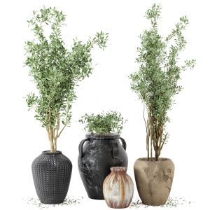 Outdoor Plants Tree In Rusty Concrete Pot - Set 1