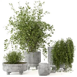 Indoor Plants In Rusty Concrete Pot - Set 9