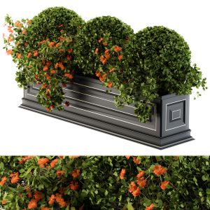 Planter Box For Windows Classic