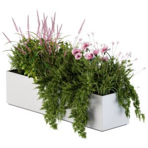 Planter Box For Windows Pink Flower