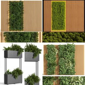 vertical garden 4