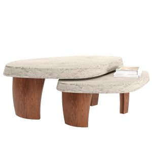 Duo Multilaque Coffee Table By Pierre Augustin Ros