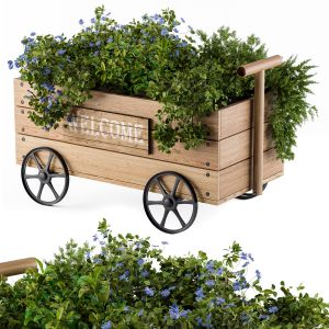 Plants On Decorative Waggon