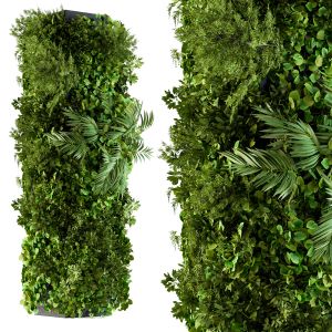 Vertical Garden - Column Plants