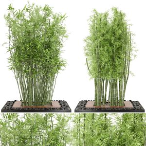 Outdoor Plants Bamboo Set _ Garden Set 21