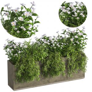 Outdoor Plants Tree In Concrete Box 07