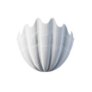 Plaster Shell Uplighter By Rose Uniacke