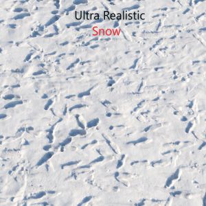 Ultra Realistic Snow Ground Scan