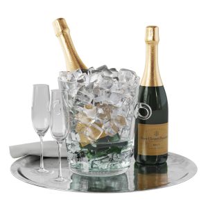 Champagne Ice Glass Bucket