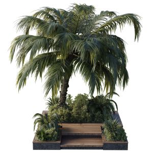 Collection Outdoor Plant 102 Garden Pot Tree Palm