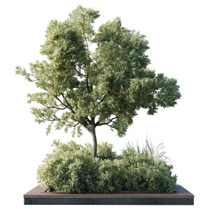 Collection Outdoor Indoor 103 Pot Tree Bush Garden