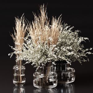 Bouquet Collection 09 - Pampas And Branches