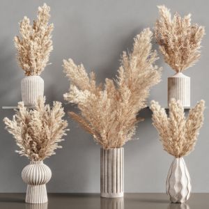 Collaction Plants Bouquet 16 (pampas)