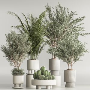 Indoor Plant Set 53