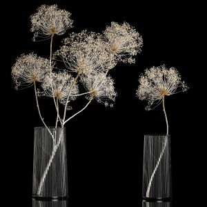 Bouquets Of Dried Heracleum Flowers And Decor.