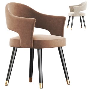 Modern Dining Chair