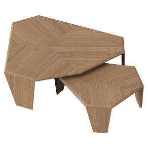 Tortuga Coffee Table