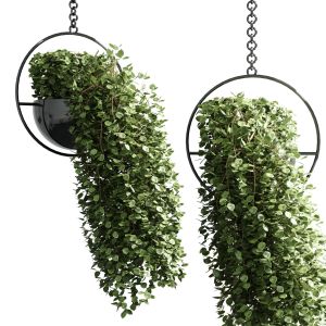 Hanging Pot 16 Indoor Outdoor Plant Metal Vase