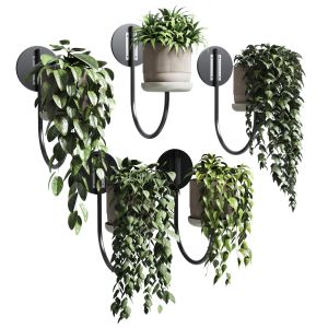 Wall Plant Collection Indoor Plant 180 Concrete