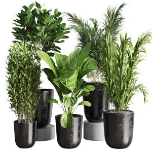 Collection Indoor Outdoor Plant 173 Concrete Dirt