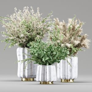 Bouquet Collection 11 - Pampas And Branches