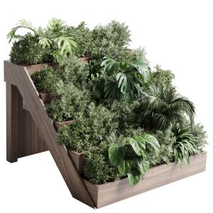 Collection Outdoor Indoor Plant 105 Stairs Wooden