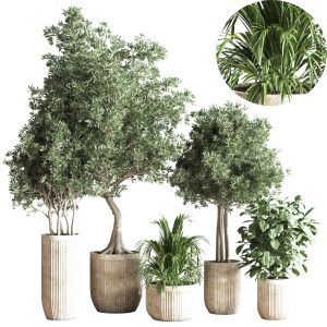 Indoorplantset29