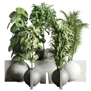 Collection Indoor Plant 171 Concrete Dirt Vase Pot