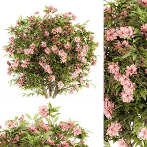 Pink Flower Bush - Bush Set 29