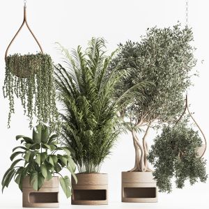 Indoor Plant Set 57