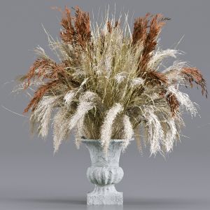 Bouquet Collection 13 - Dried Branches And Pampas