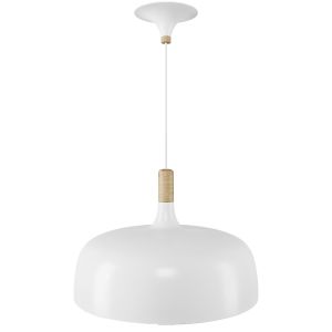 Northern Lighting Acorn Pendant Light