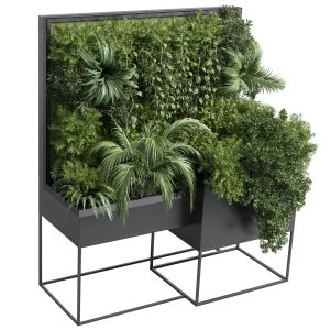 Box Plants On Stand - Collection Of Outdoor Plants