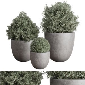 Collection Outdoor Plant 107 Pot Tree Bush Concret