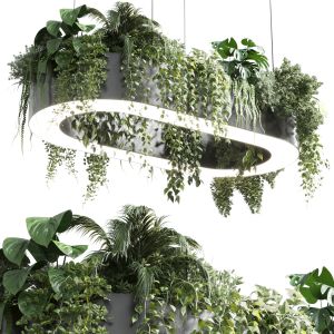 Pot Light Pendant Plant Light Hanging 06