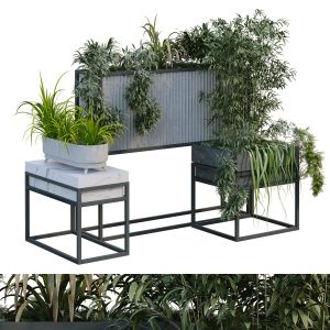 Interior Plant In Box Set 255