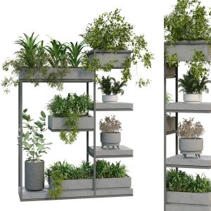 Interior Vertical Plant In Box Set 253