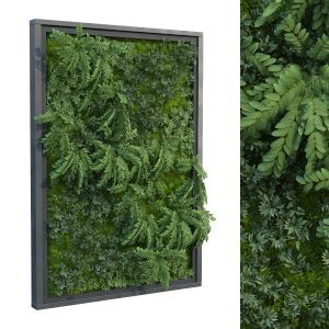 Vertical Plant Green Wall Set 260