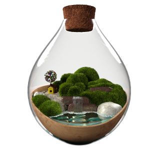 Decorative Terrarium