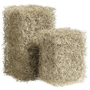 Bales Of Hay