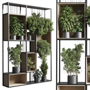 Standing Metal Shelf With A Set 384 Of Plants In M