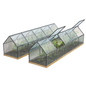 Greenhouse