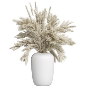 Pampas In Vase