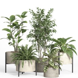 Indoor Plant Set 52-concrete And Metal Pot