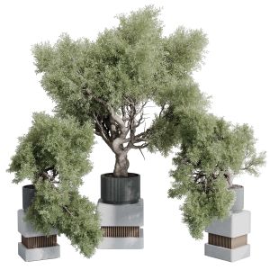 Indoor Plant Set 389 Tree Bush Concrete Dirt Vase