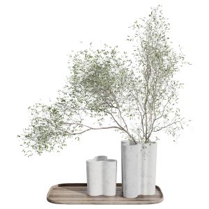 Tree Branch In A Concrete Vase Set 390 Indoor Plan