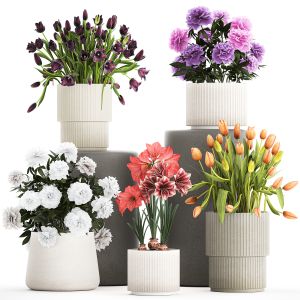 Set Of Beautiful Plants And Flowers In Flowerpots