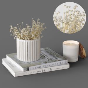 Decor Set 25 Gypsophila