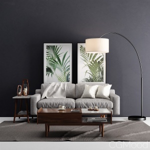 Living Set. West elm